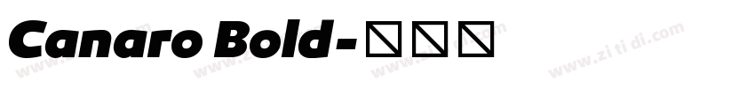 Canaro Bold字体转换